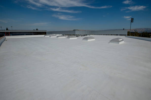 Best Solar Panel Roofing Installation  in Fennville, MI