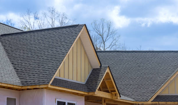 Best Roof Moss and Algae Removal  in Fennville, MI