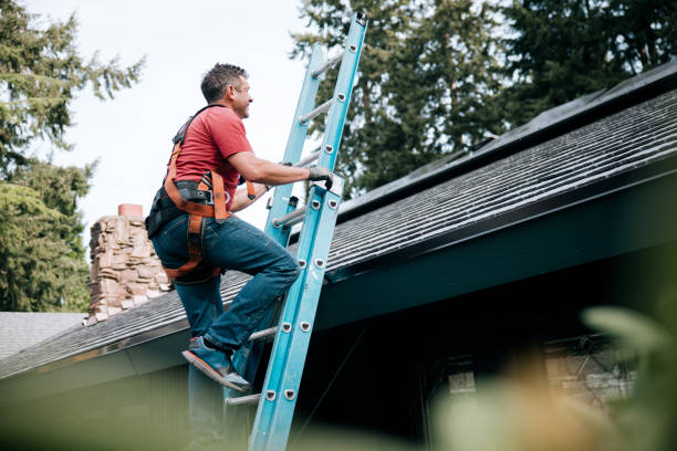 Best Metal Roofing Installation  in Fennville, MI